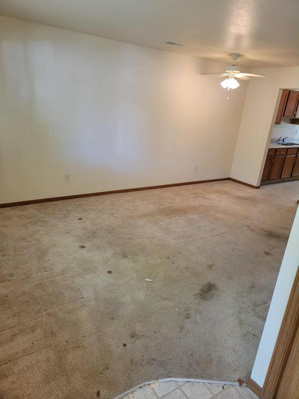 After: living room cleaned out