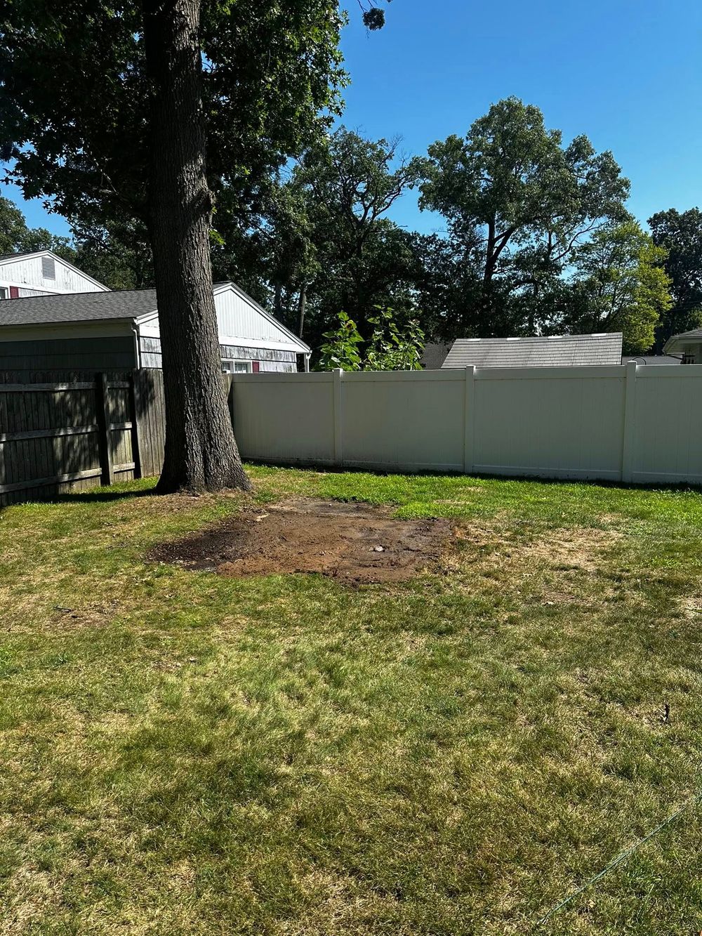 After: backyard shed removed