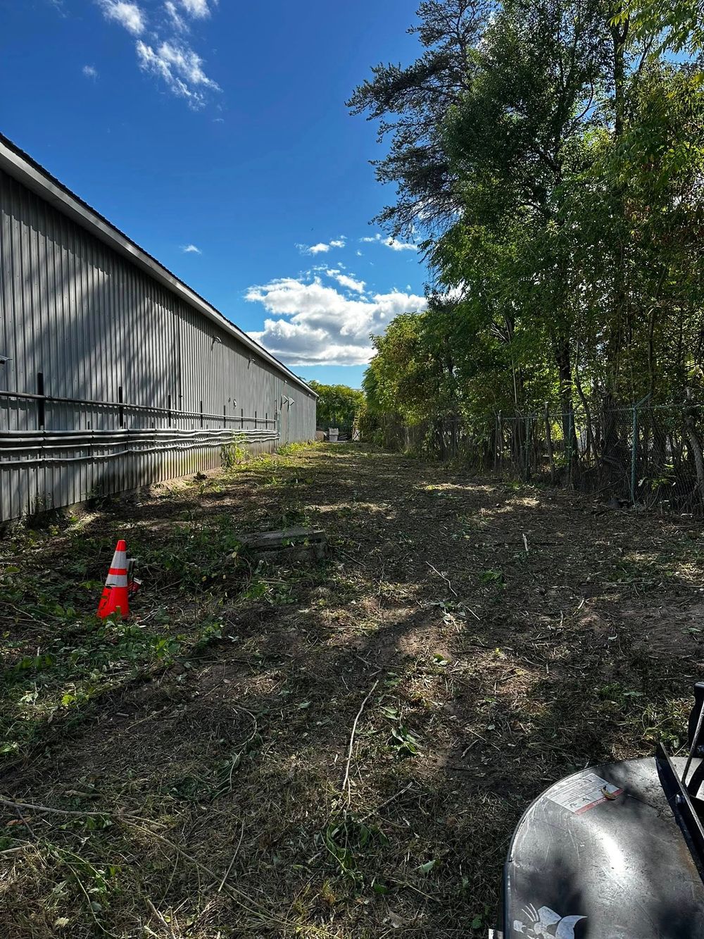 After: yard cleaned up